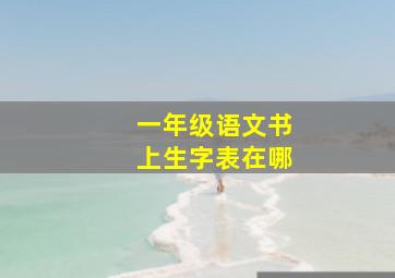 一年级语文书上生字表在哪