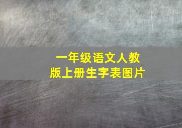 一年级语文人教版上册生字表图片