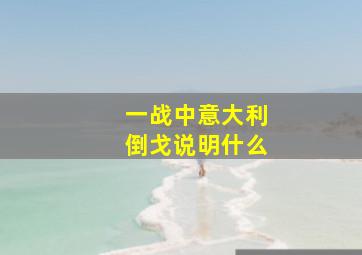 一战中意大利倒戈说明什么