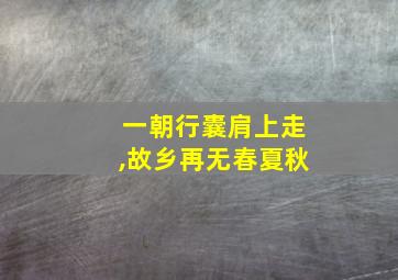 一朝行囊肩上走,故乡再无春夏秋