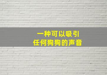 一种可以吸引任何狗狗的声音