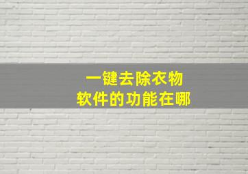 一键去除衣物软件的功能在哪