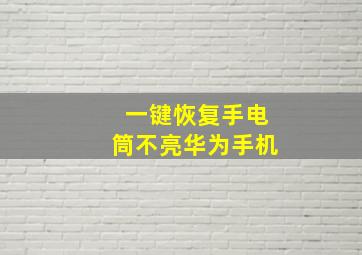 一键恢复手电筒不亮华为手机