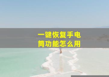 一键恢复手电筒功能怎么用