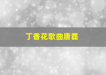 丁香花歌曲唐磊