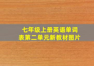 七年级上册英语单词表第二单元新教材图片