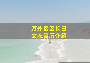 万州区区长白文农简历介绍