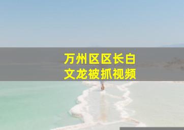 万州区区长白文龙被抓视频