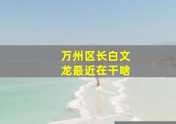 万州区长白文龙最近在干啥