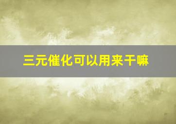 三元催化可以用来干嘛