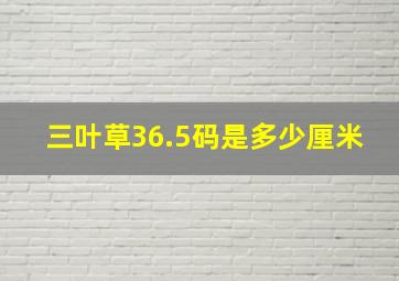 三叶草36.5码是多少厘米