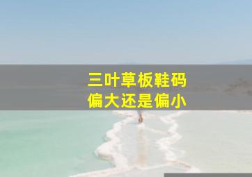 三叶草板鞋码偏大还是偏小