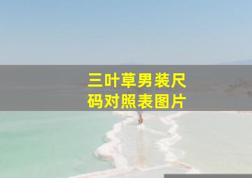 三叶草男装尺码对照表图片