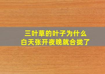 三叶草的叶子为什么白天张开夜晚就合拢了