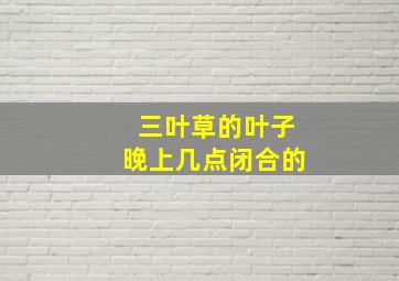 三叶草的叶子晚上几点闭合的