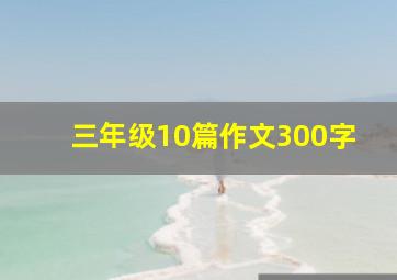 三年级10篇作文300字