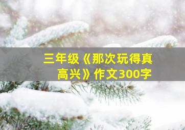 三年级《那次玩得真高兴》作文300字