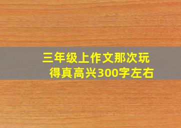 三年级上作文那次玩得真高兴300字左右