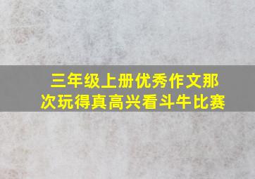 三年级上册优秀作文那次玩得真高兴看斗牛比赛