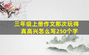 三年级上册作文那次玩得真高兴怎么写250个字