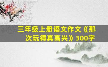 三年级上册语文作文《那次玩得真高兴》300字