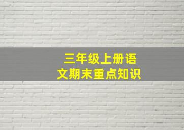 三年级上册语文期末重点知识