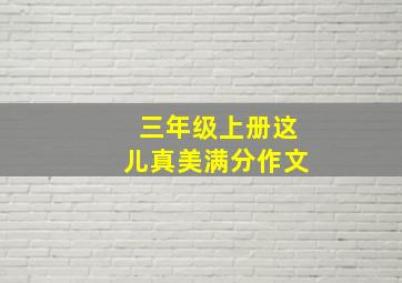 三年级上册这儿真美满分作文