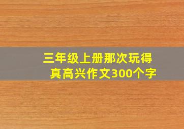 三年级上册那次玩得真高兴作文300个字