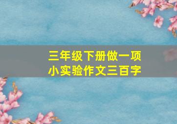 三年级下册做一项小实验作文三百字