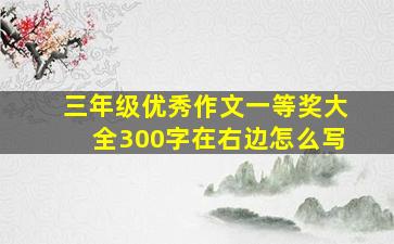 三年级优秀作文一等奖大全300字在右边怎么写