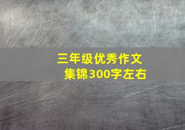 三年级优秀作文集锦300字左右