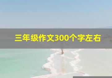 三年级作文300个字左右