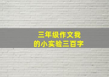 三年级作文我的小实验三百字