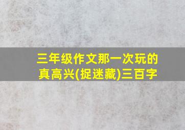 三年级作文那一次玩的真高兴(捉迷藏)三百字