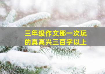 三年级作文那一次玩的真高兴三百字以上