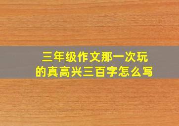 三年级作文那一次玩的真高兴三百字怎么写