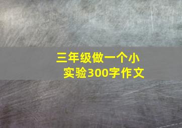 三年级做一个小实验300字作文