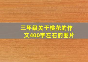 三年级关于桃花的作文400字左右的图片