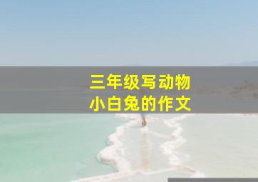 三年级写动物小白兔的作文