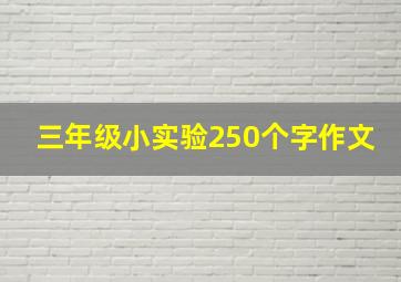 三年级小实验250个字作文