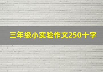 三年级小实验作文250十字