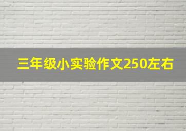 三年级小实验作文250左右