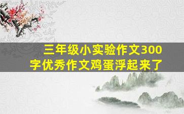 三年级小实验作文300字优秀作文鸡蛋浮起来了