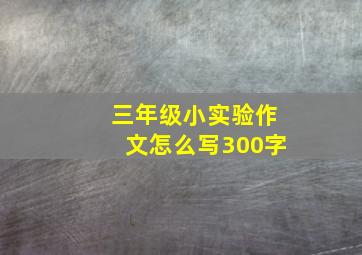 三年级小实验作文怎么写300字