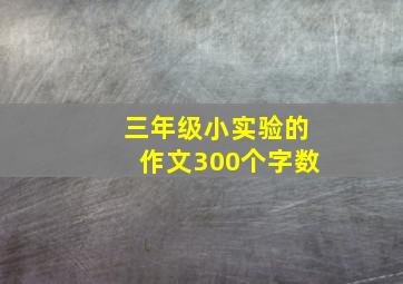 三年级小实验的作文300个字数