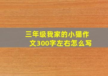 三年级我家的小猫作文300字左右怎么写