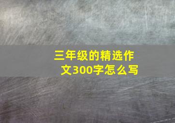 三年级的精选作文300字怎么写