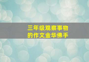 三年级观察事物的作文金华佛手