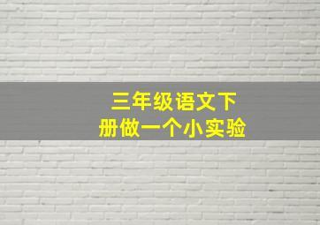 三年级语文下册做一个小实验