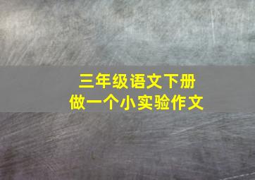 三年级语文下册做一个小实验作文